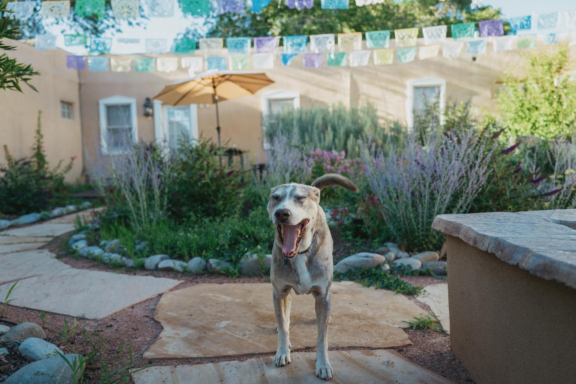 Dos Hermanas Casita 8 Downtown Courtyard Patio سانتا فيه المظهر الخارجي الصورة